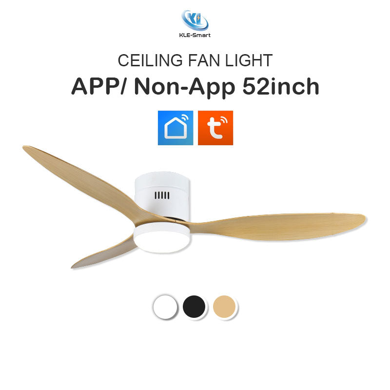Smart Wifi Ceiling Fan