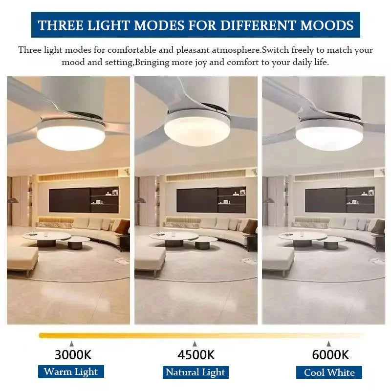 Smart Wifi Ceiling fan